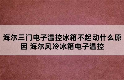 海尔三门电子温控冰箱不起动什么原因 海尔风冷冰箱电子温控